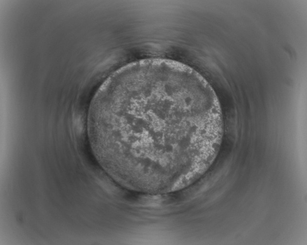 X0000113310131200910051112