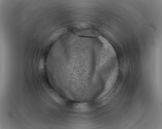 X0000113310132200910051112