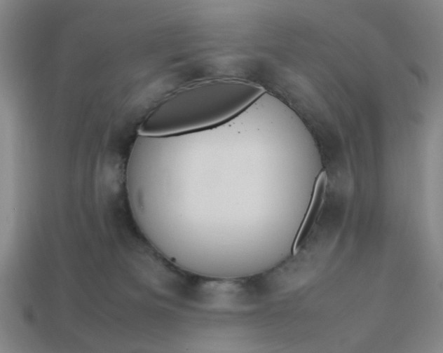 X0000113310133200910051112