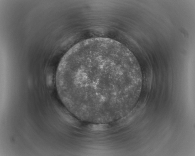 X0000113310134200910051112