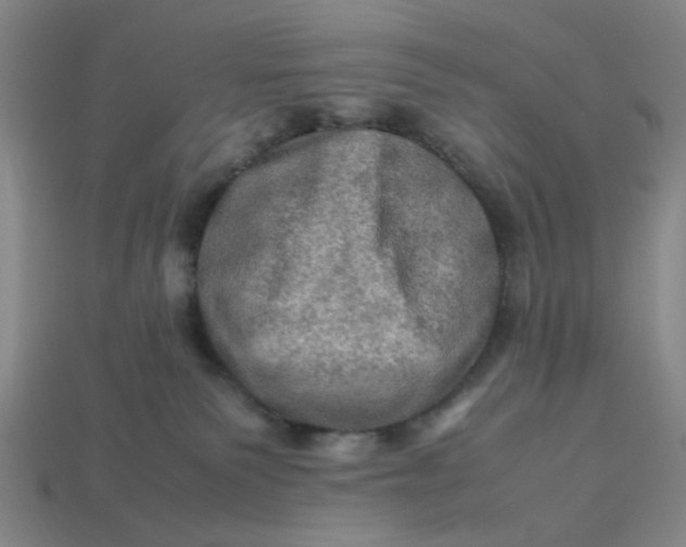 X0000113310135200910051112