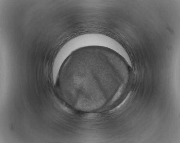 X0000113310136200910051112