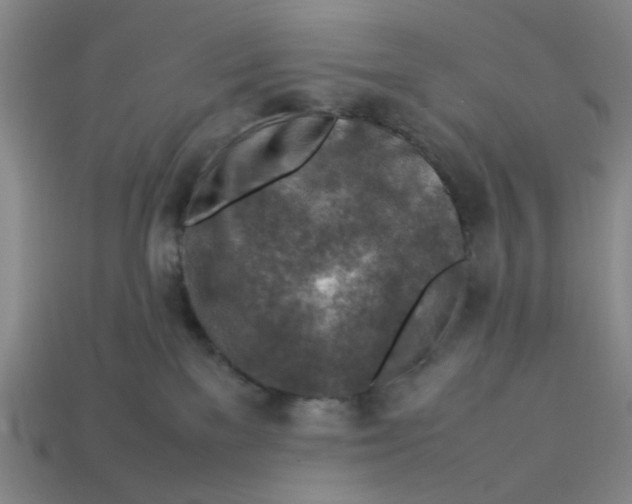 X0000113310137200910051112