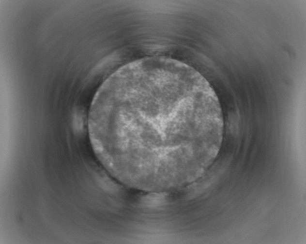 X0000113310138200910051112