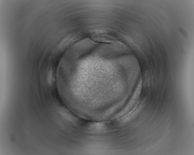 X0000113310140200910051112