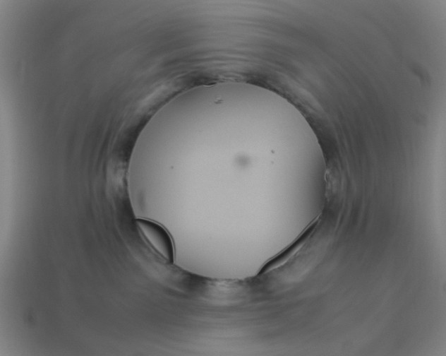 X0000113310141200910051112