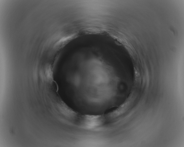 X0000113310143200910051112