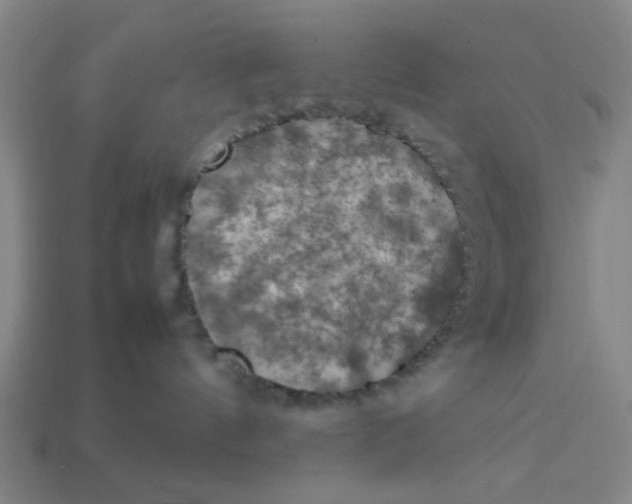 X0000113310144200910051112