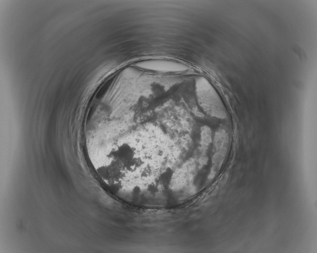 X0000113310145200910051111