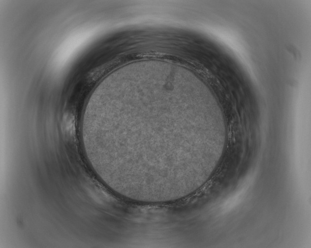 X0000113310146200910051111