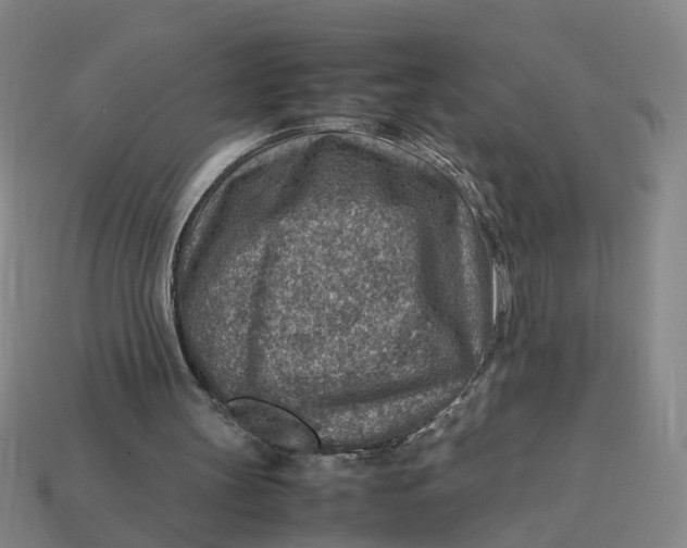 X0000113310147200910051111