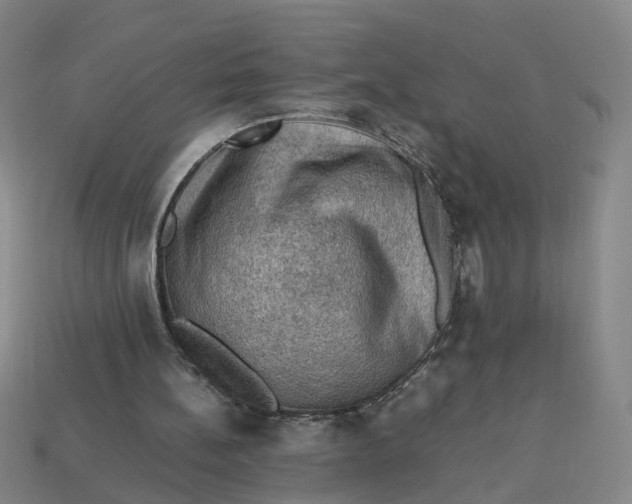 X0000113310148200910051111