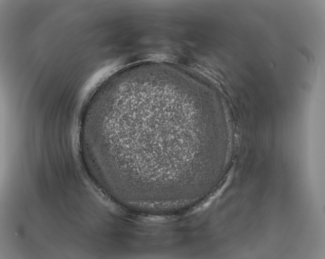 X0000113310149200910051111