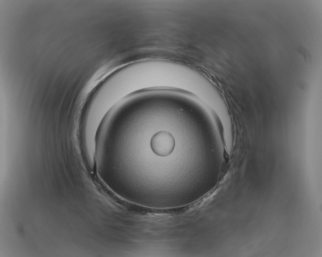 X0000113310150200910051111