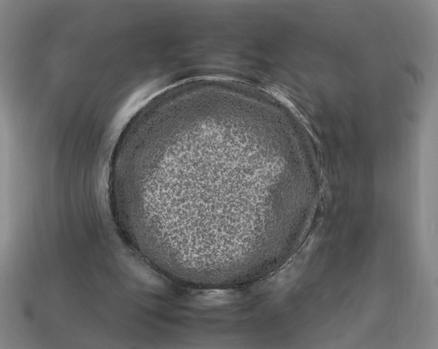 X0000113310151200910051112