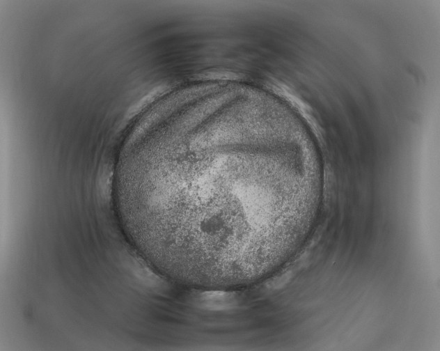 X0000113310153200910051112