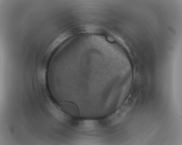 X0000113310154200910051112