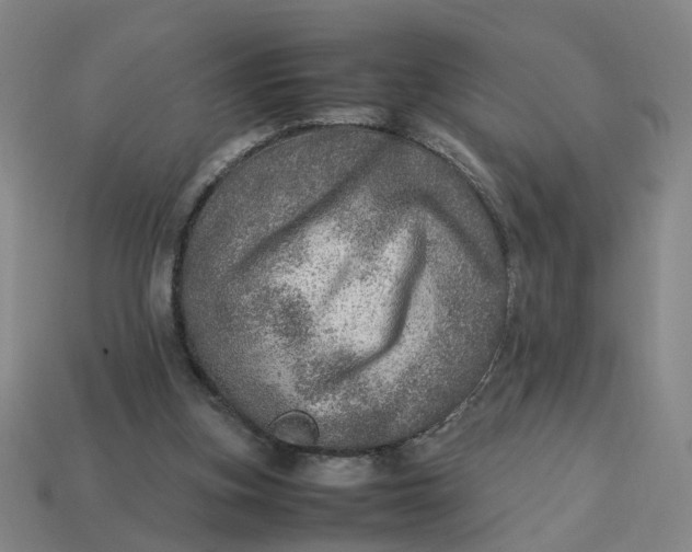 X0000113310155200910051112