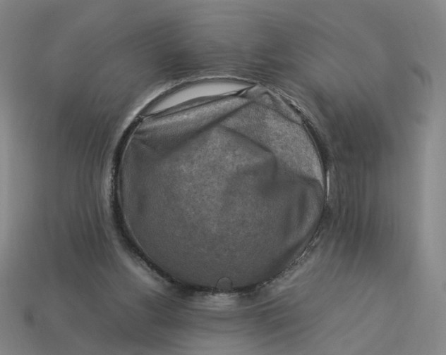 X0000113310156200910051112