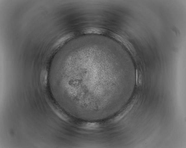 X0000113310157200910051112