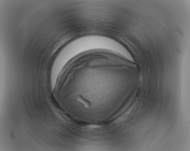 X0000113310158200910051112