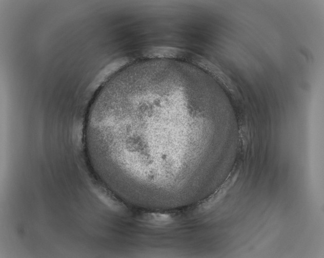 X0000113310159200910051112