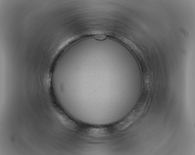 X0000113310160200910051112