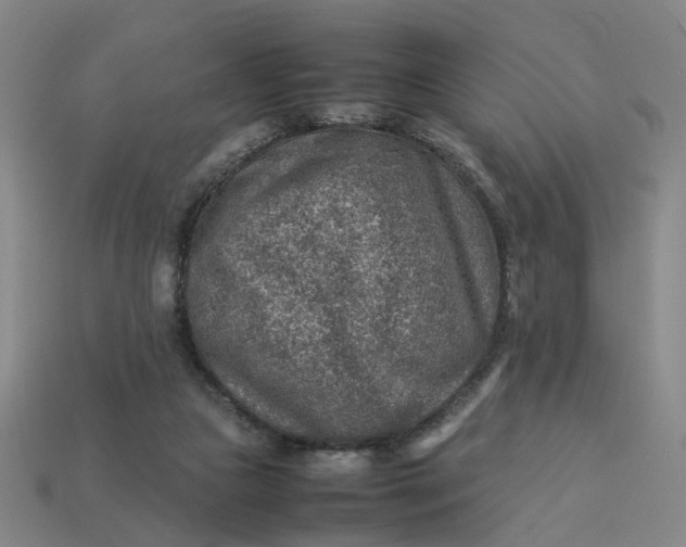 X0000113310161200910051112