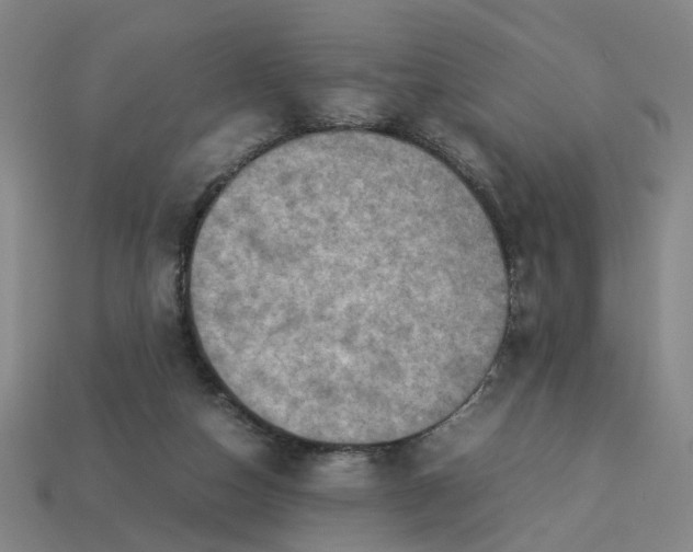 X0000113310162200910051112