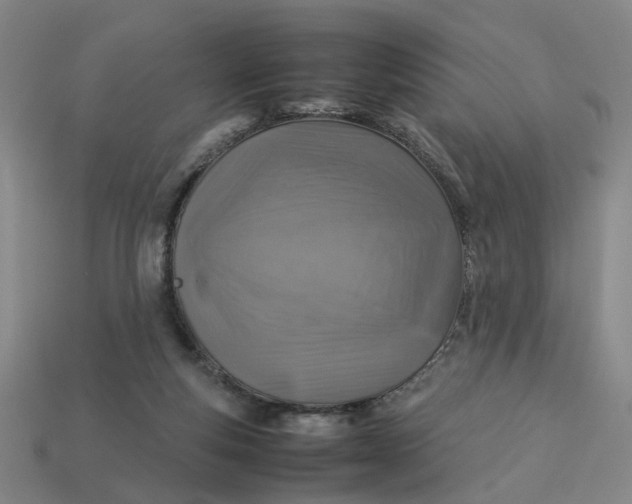 X0000113310163200910051112