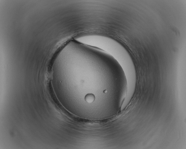 X0000113310164200910051112