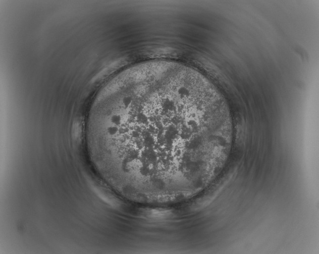 X0000113310165200910051112