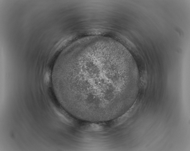 X0000113310166200910051112