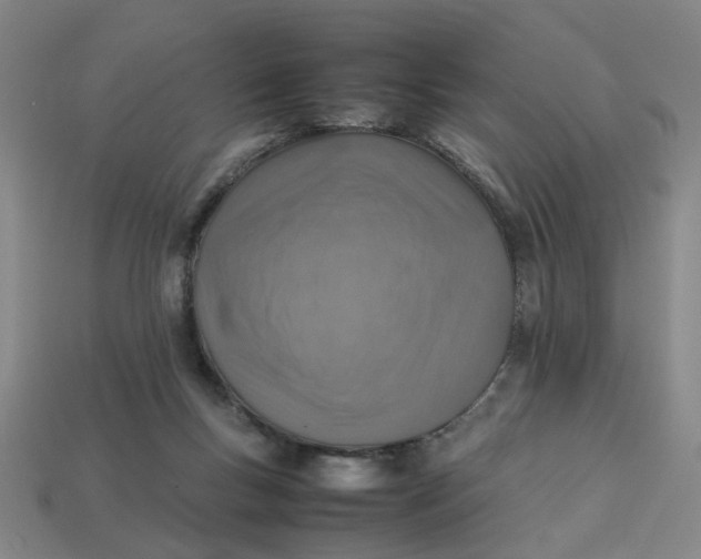 X0000113310167200910051112