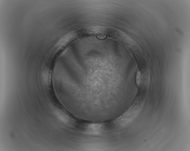 X0000113310168200910051112