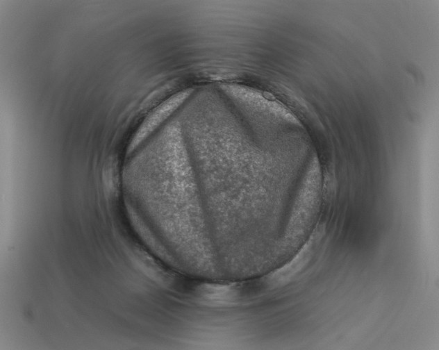 X0000113310170200910051112