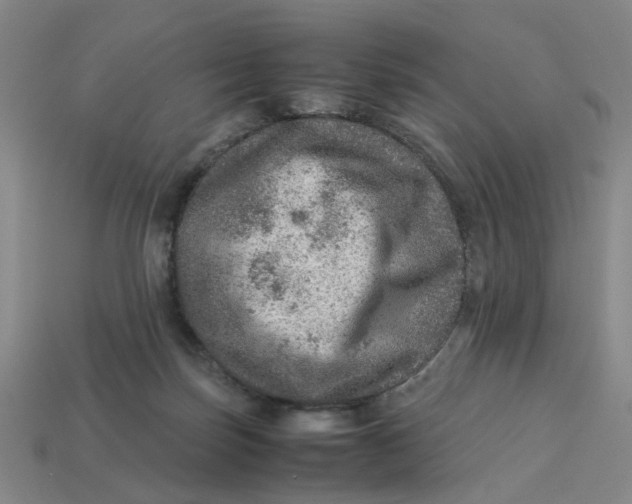 X0000113310171200910051112