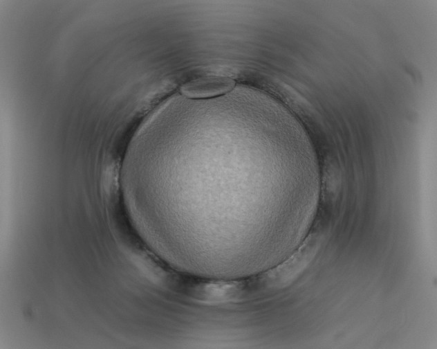 X0000113310172200910051112