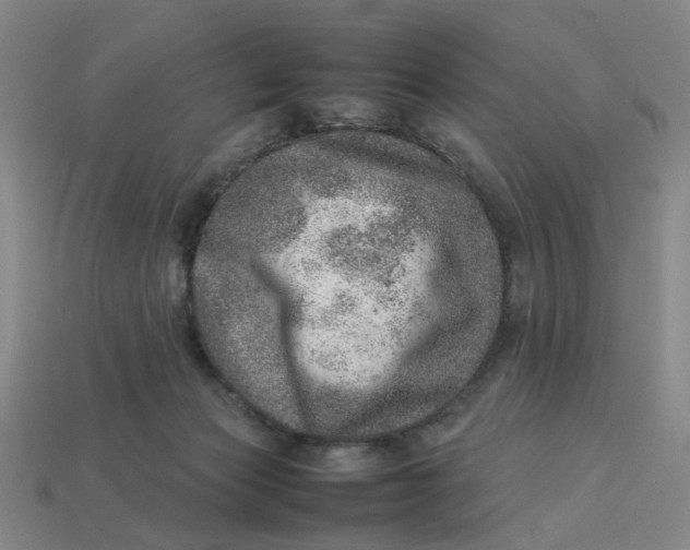 X0000113310173200910051112