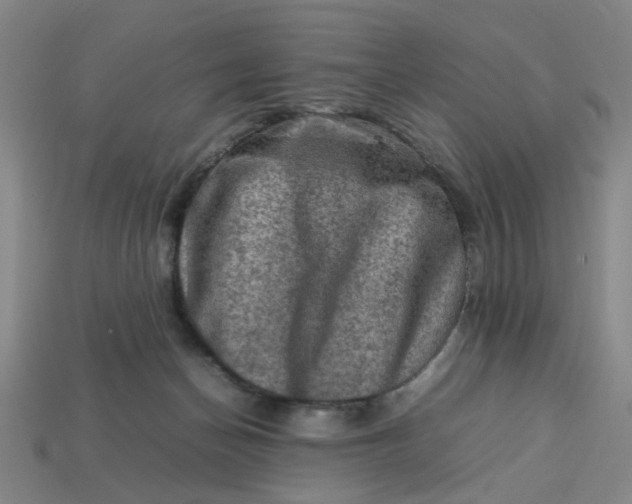 X0000113310174200910051112