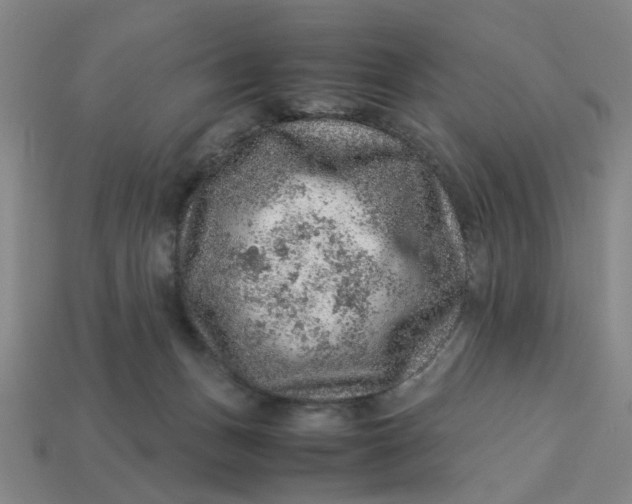 X0000113310175200910051112