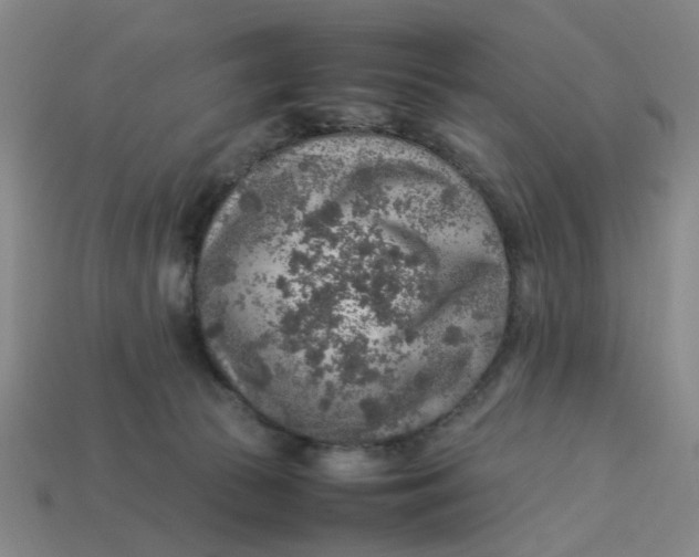 X0000113310177200910051112