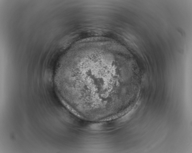 X0000113310178200910051112