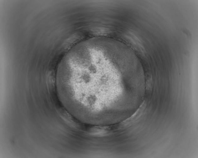 X0000113310179200910051112