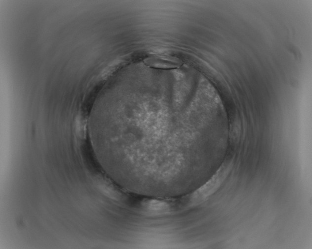 X0000113310180200910051112