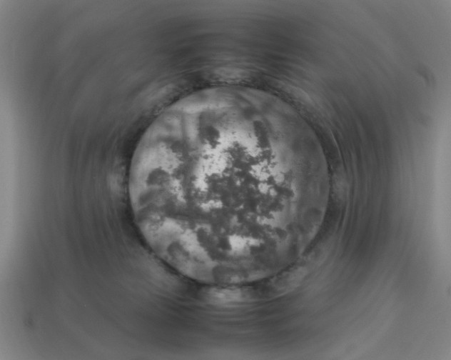 X0000113310181200910051112