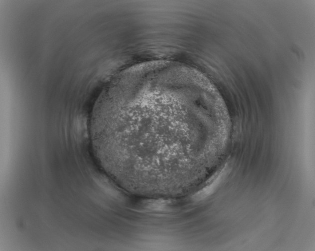 X0000113310182200910051112