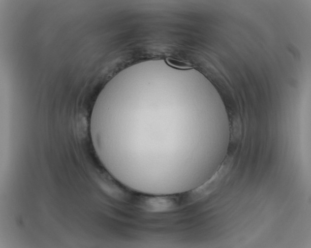 X0000113310183200910051112