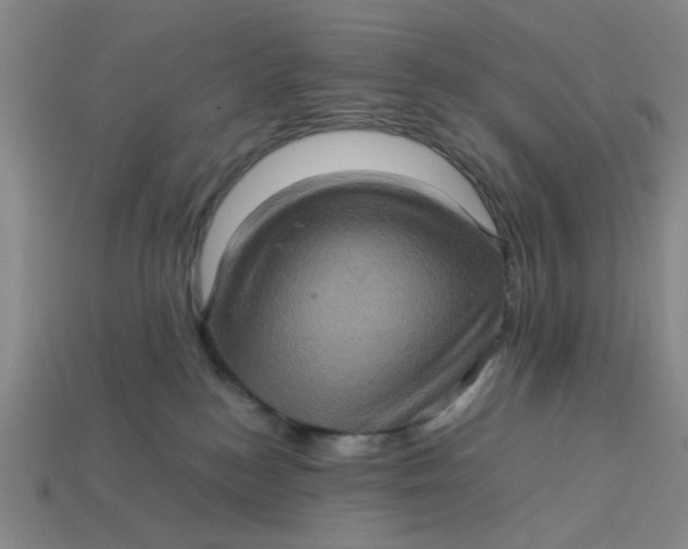 X0000113310184200910051112