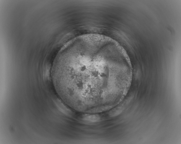 X0000113310185200910051112